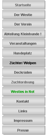 Rechteckige Legende:  Neu 