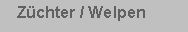 Textfeld:    Z�chter / Welpen 